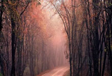 球友会官网：[棋牌]西南棋王赛成都开枰 辜梓豪杨鼎新等晋级四强.