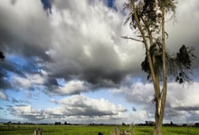 助攻双响,罗马诺:曼城在1月份拒绝了切尔西对奥赖利多份报价.