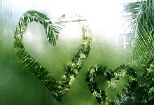 球友会官网:获2034年世界杯主办权 沙特要展现雄心壮志.