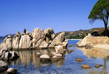 欧国联-奥利塞登贝莱破门总分2-2 法国点球5-4克罗地亚.